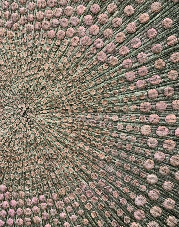 "Dual Spirals" by Jessica Harper - Detail